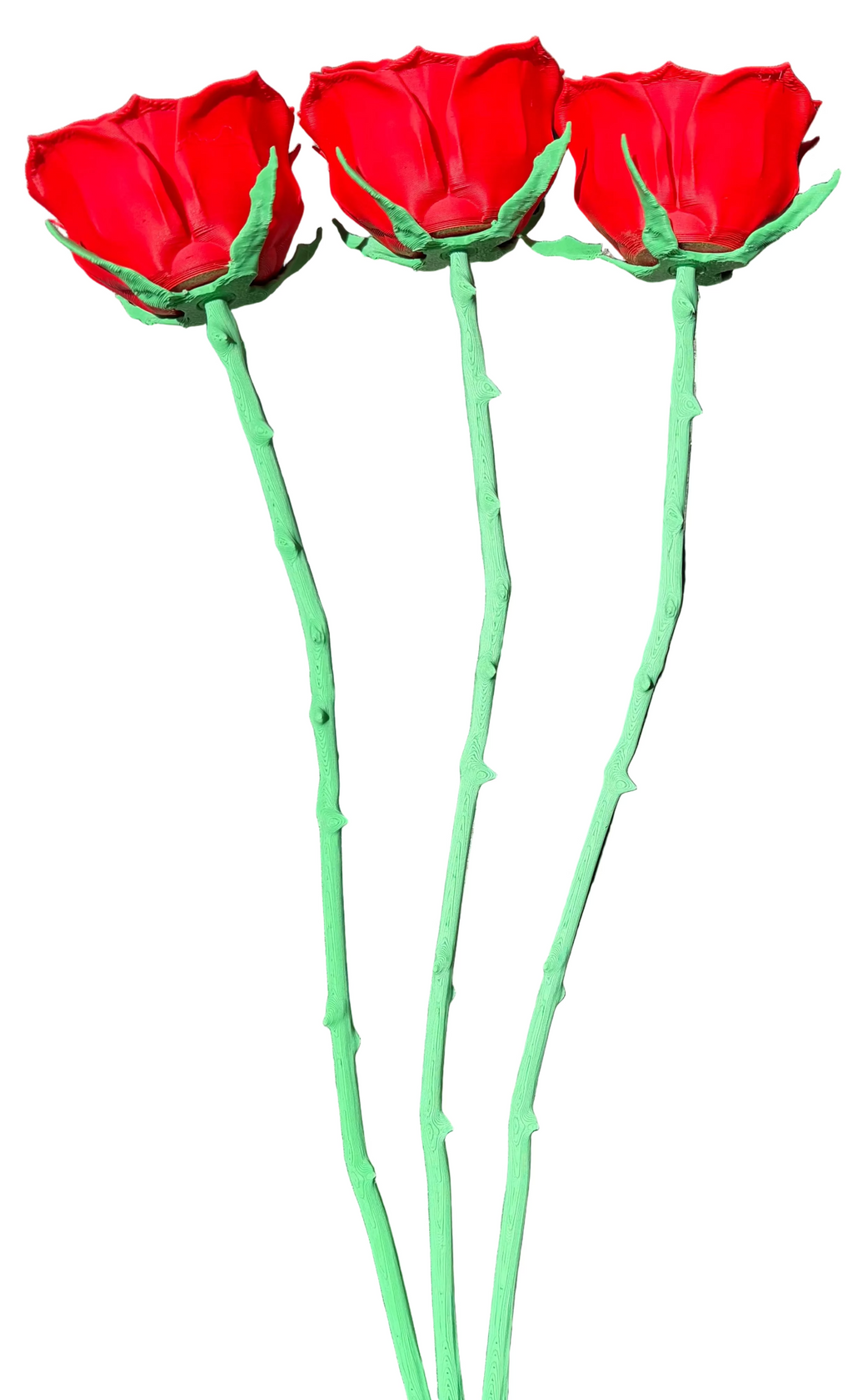 Forever Roses (Set of 3)