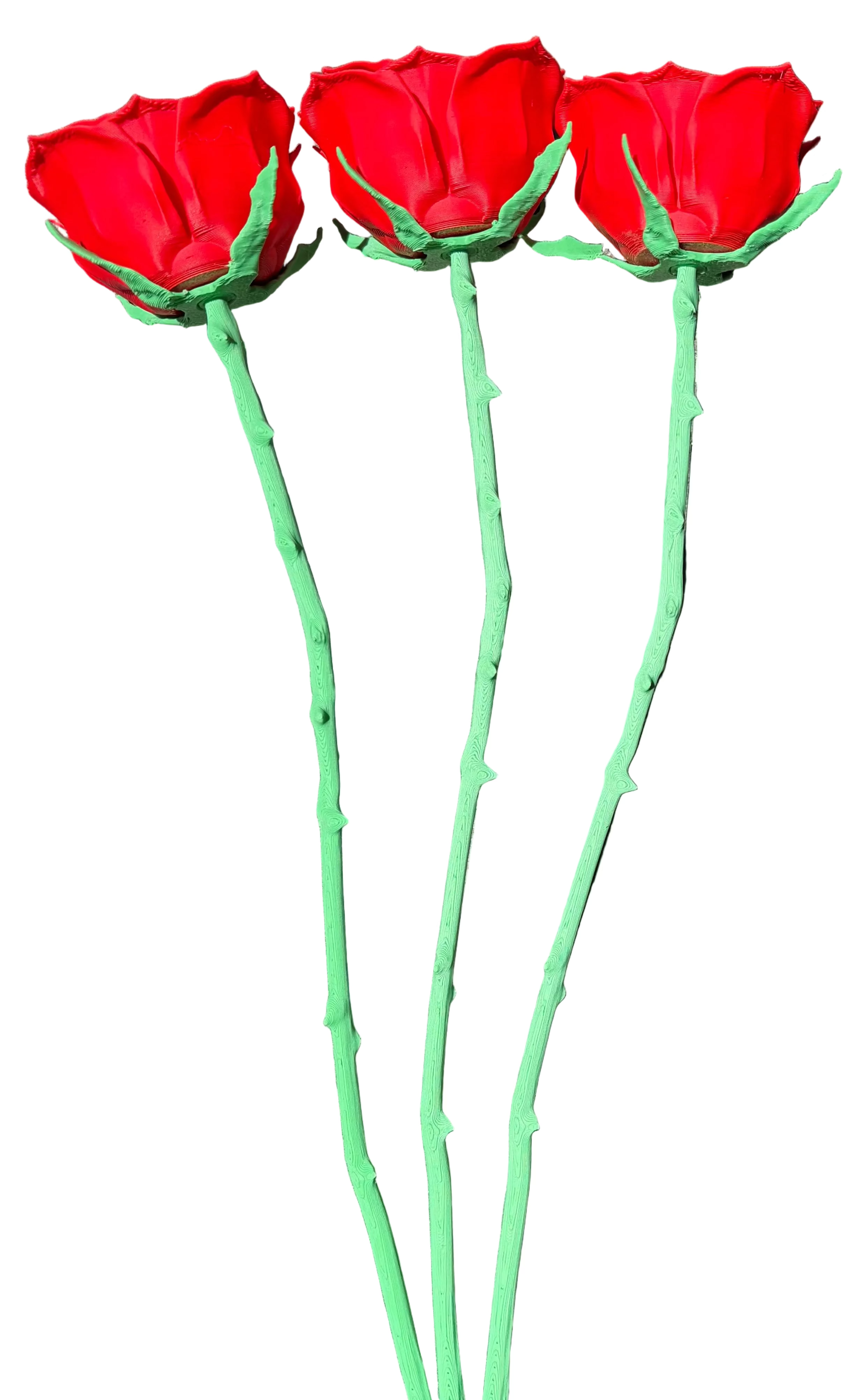Forever Roses (Set of 3)